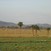 Foto de Cojedes