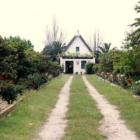 Foto de El Palmar
