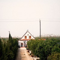 Foto de El Palmar