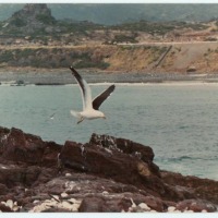 Foto de Los Vilos