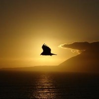 Foto de Antofagasta