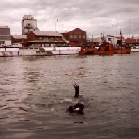 Foto de Mar de Plata (Buenos Aires)