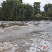 Foto de Tigre (Buenos Aires)