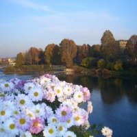 Foto de Turin