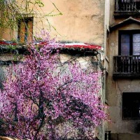 Foto de Cuenca