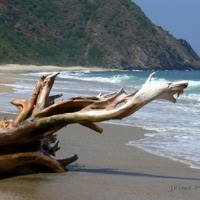 Foto de Ocumare de la Costa