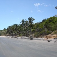 Foto de Punta Grossa