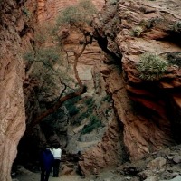 Foto de Cafayate (Salta)