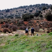 Foto de Imon
