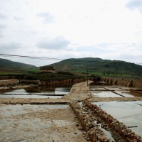 Foto de Imon