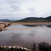 Foto de Imon