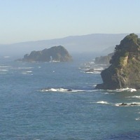 Foto de Estaquilla