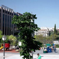 Foto de Madrid