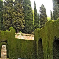 Foto de Granada