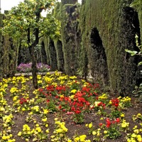 Foto de Granada