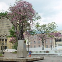 Foto de Ibagué