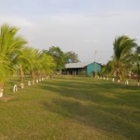 Foto de Orocué