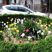 Foto de Cangas de Onís