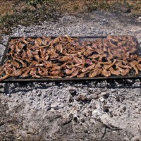 Foto de Alconchel de Ariza