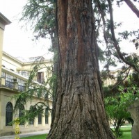 Foto de Pamplona
