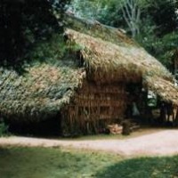Foto de Tauramena