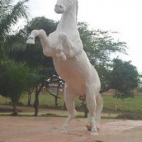Foto de Arauca (Arauca)
