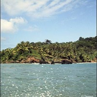 Foto de Isla Gorgona