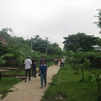 Foto de Puerto Nariño (Amazonas)