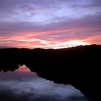 Foto de Paparo