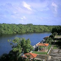 Foto de Paparo