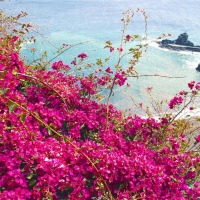 Foto de San Sebastián - La Gomera