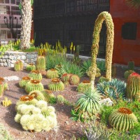 Foto de San Sebastián - La Gomera