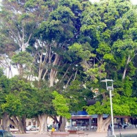 Foto de San Sebastián - La Gomera