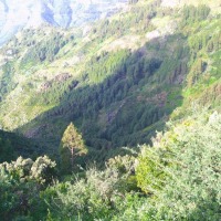 Foto de San Sebastián - La Gomera