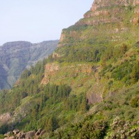 Foto de Garajonay - La Gomera