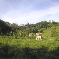 Foto de Casanare