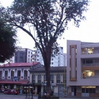 Foto de Calarcá