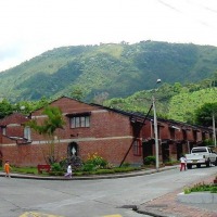 Foto de Calarcá