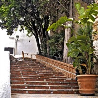 Foto de Marbella