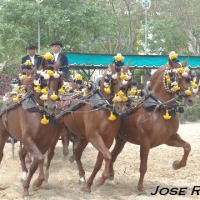 Foto de Jerez de la Frontera