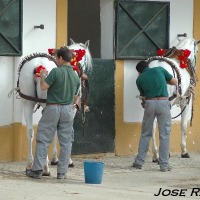 Foto de Jerez de la Frontera