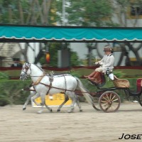 Foto de Jerez de la Frontera