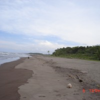 Foto de Tortuguero