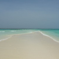 Foto de Isla La Tortuga