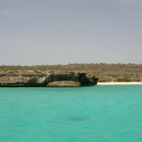 Foto de Isla La Tortuga