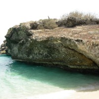 Foto de Isla La Tortuga