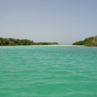 Foto de Isla La Tortuga