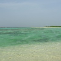 Foto de Isla La Tortuga