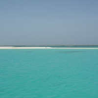 Foto de Isla La Tortuga