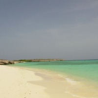 Foto de Isla La Tortuga